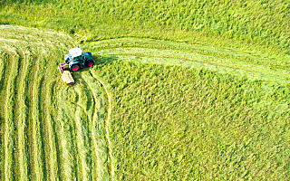 Podawali się za rolników bo chcieli wyłudzić unijne dotacje Podawali się za rolników bo chcieli wyłudzić unijne dotacje